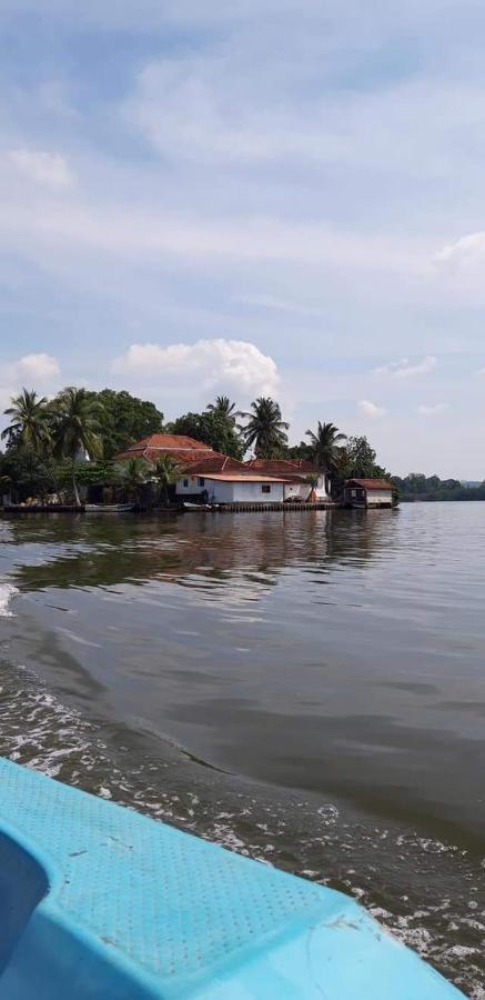 Rashmi Homestay Balapitiya Zewnętrze zdjęcie